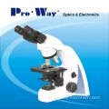 40x-1000x Seidentopf Binoculaire Microscope biologique 300
